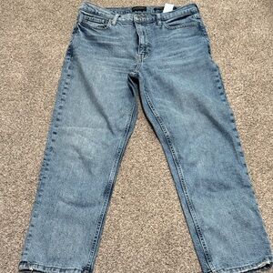 Banana Republic Women's High Rise Denim Jeans straight leg
